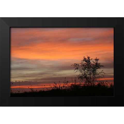 Peaceful Sunset Black Modern Wood Framed Art Print by Putman, Tammy