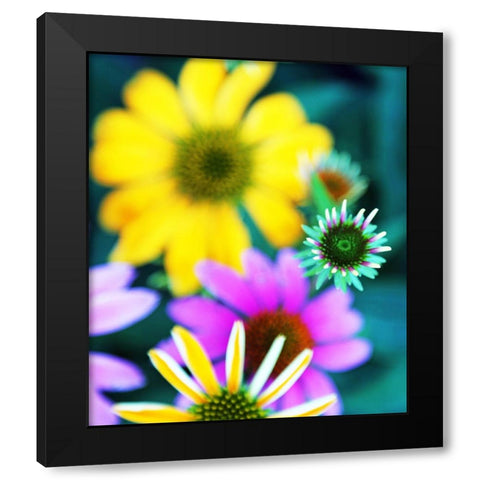 Colorful Bouquet I Black Modern Wood Framed Art Print with Double Matting by Putman, Tammy