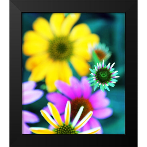 Colorful Bouquet I Black Modern Wood Framed Art Print by Putman, Tammy