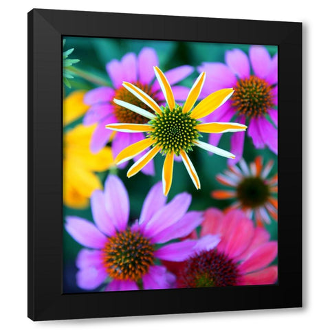 Colorful Bouquet II Black Modern Wood Framed Art Print with Double Matting by Putman, Tammy