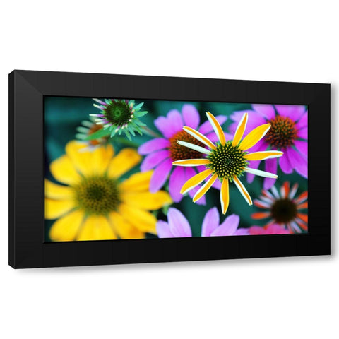 Colorful Bouquet III Black Modern Wood Framed Art Print with Double Matting by Putman, Tammy