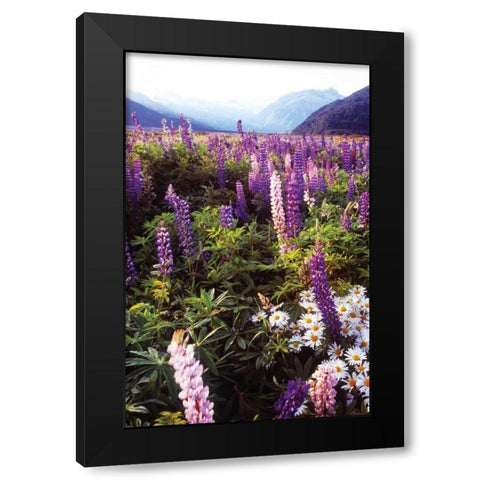 Russell Lupin I Black Modern Wood Framed Art Print with Double Matting by Stefko, Bob