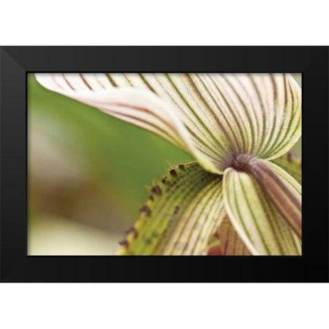 Green Mist Black Modern Wood Framed Art Print by Styber, Dana