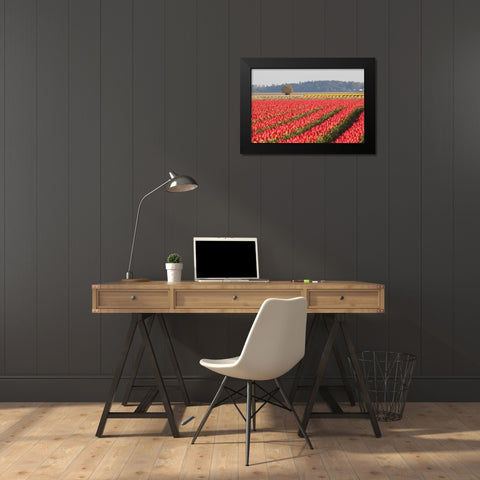 Lonesome Tree Black Modern Wood Framed Art Print by Styber, Dana
