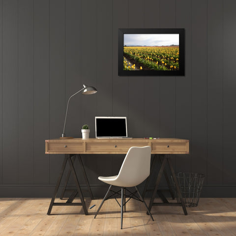 Tulips at Sunset V Black Modern Wood Framed Art Print by Styber, Dana