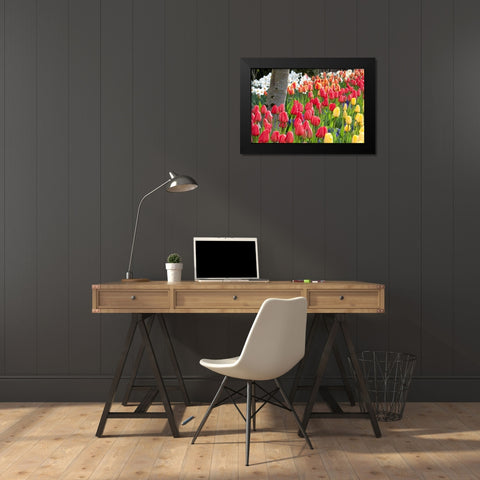 Tulip Bed I Black Modern Wood Framed Art Print by Styber, Dana
