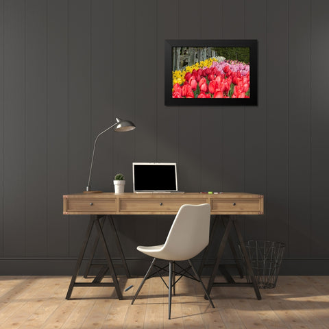 Tulip Bed II Black Modern Wood Framed Art Print by Styber, Dana