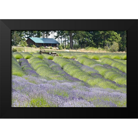 Lavender Hill I Black Modern Wood Framed Art Print by Styber, Dana