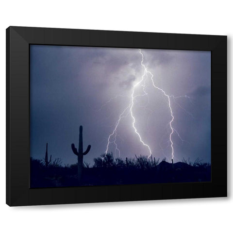 Electric Desert I Black Modern Wood Framed Art Print with Double Matting by Taylor, Douglas