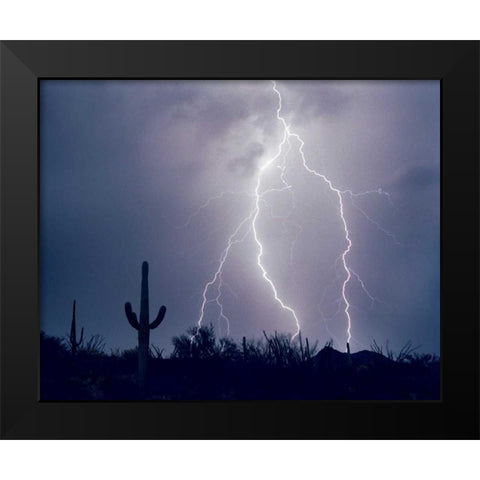 Electric Desert I Black Modern Wood Framed Art Print by Taylor, Douglas