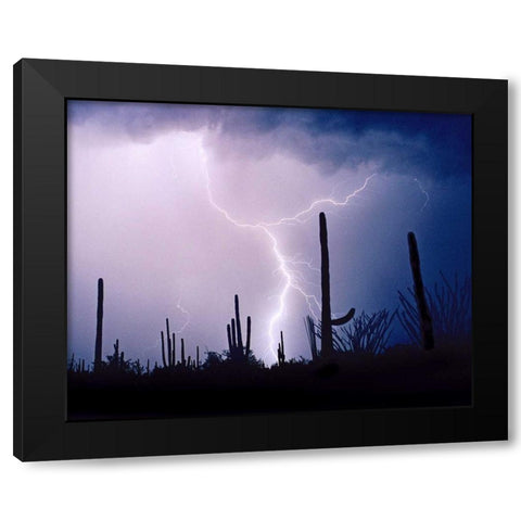 Electric Desert II Black Modern Wood Framed Art Print with Double Matting by Taylor, Douglas