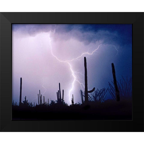 Electric Desert II Black Modern Wood Framed Art Print by Taylor, Douglas