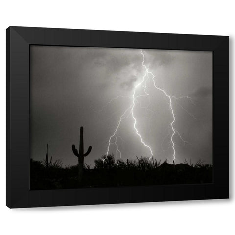 Electric Desert I - BW Black Modern Wood Framed Art Print with Double Matting by Taylor, Douglas