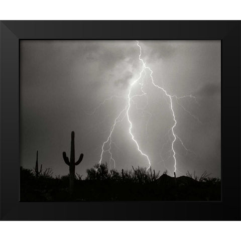 Electric Desert I - BW Black Modern Wood Framed Art Print by Taylor, Douglas