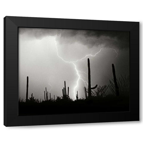 Electric Desert II - BW Black Modern Wood Framed Art Print with Double Matting by Taylor, Douglas