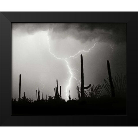 Electric Desert II - BW Black Modern Wood Framed Art Print by Taylor, Douglas