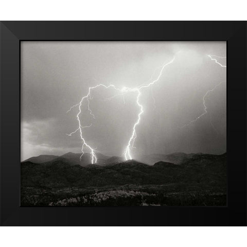 Striking Symmetry I - BW Black Modern Wood Framed Art Print by Taylor, Douglas