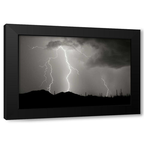 Striking Symmetry II - BW Black Modern Wood Framed Art Print with Double Matting by Taylor, Douglas