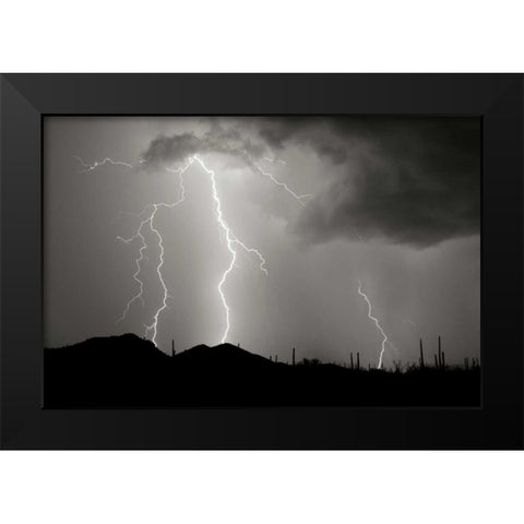 Striking Symmetry II - BW Black Modern Wood Framed Art Print by Taylor, Douglas