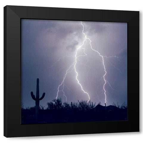 Electric Desert III Black Modern Wood Framed Art Print with Double Matting by Taylor, Douglas