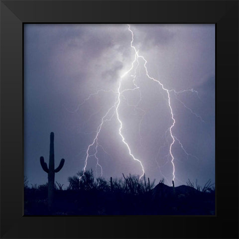 Electric Desert III Black Modern Wood Framed Art Print by Taylor, Douglas