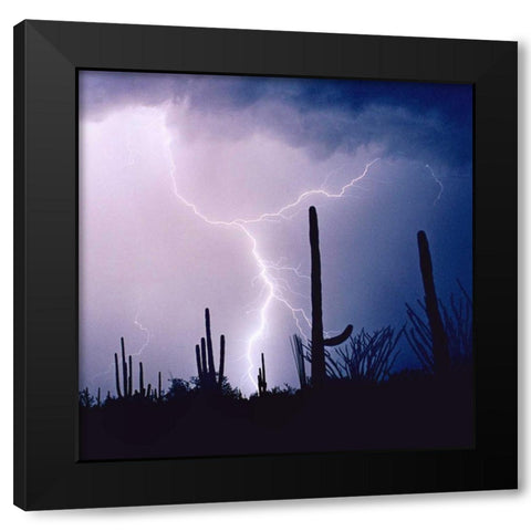 Electric Desert IV Black Modern Wood Framed Art Print with Double Matting by Taylor, Douglas