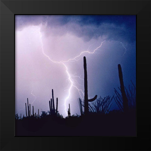 Electric Desert IV Black Modern Wood Framed Art Print by Taylor, Douglas