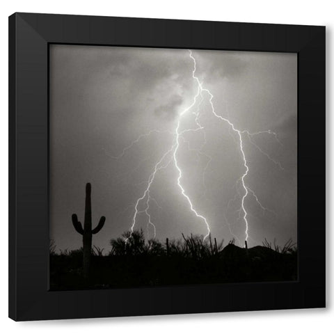 Electric Desert III - BW Black Modern Wood Framed Art Print with Double Matting by Taylor, Douglas