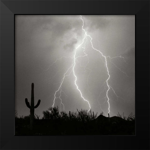 Electric Desert III - BW Black Modern Wood Framed Art Print by Taylor, Douglas