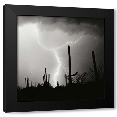 Electric Desert IV - BW Black Modern Wood Framed Art Print with Double Matting by Taylor, Douglas