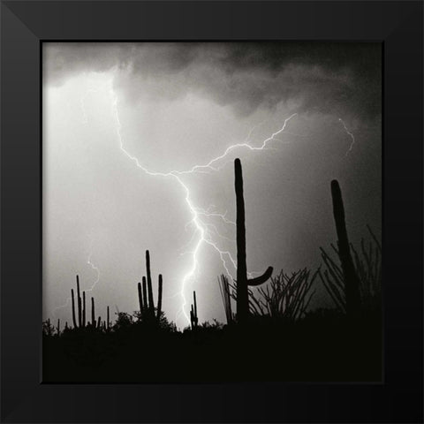 Electric Desert IV - BW Black Modern Wood Framed Art Print by Taylor, Douglas