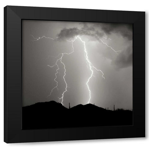 Summer Lightning I - BW Black Modern Wood Framed Art Print by Taylor, Douglas