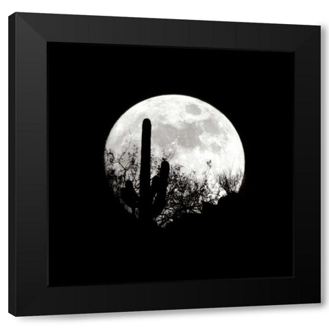 Moonrise in May I Black Modern Wood Framed Art Print with Double Matting by Taylor, Douglas