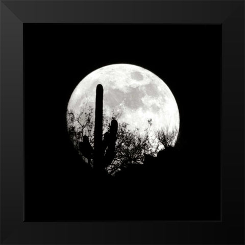 Moonrise in May I Black Modern Wood Framed Art Print by Taylor, Douglas