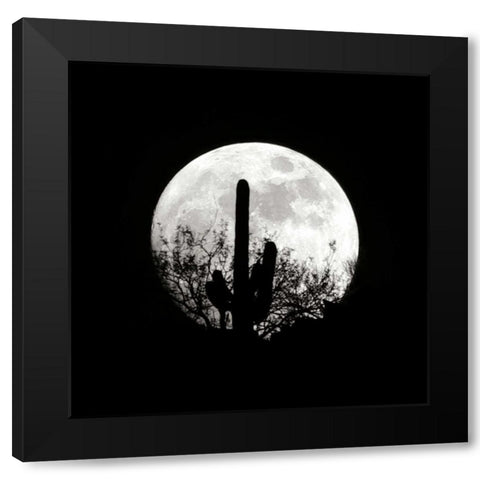 Moonrise in May II Black Modern Wood Framed Art Print with Double Matting by Taylor, Douglas