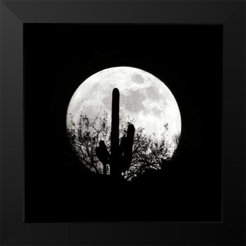 Moonrise in May II Black Modern Wood Framed Art Print by Taylor, Douglas