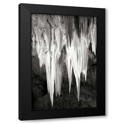 Carlsbad Cavern II BW Black Modern Wood Framed Art Print by Taylor, Douglas