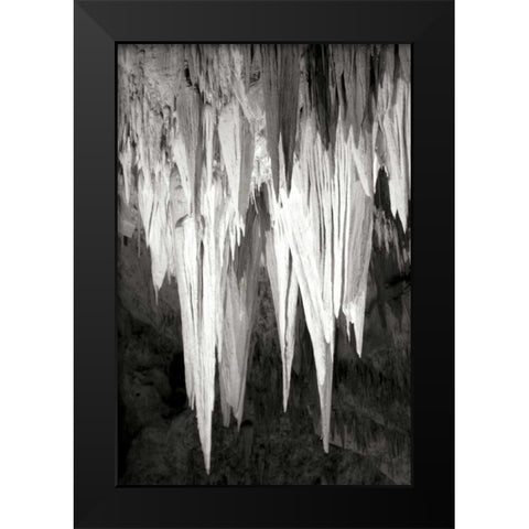 Carlsbad Cavern II BW Black Modern Wood Framed Art Print by Taylor, Douglas