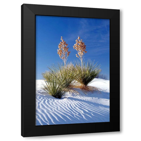 Yuccas and White Sand I Black Modern Wood Framed Art Print with Double Matting by Taylor, Douglas