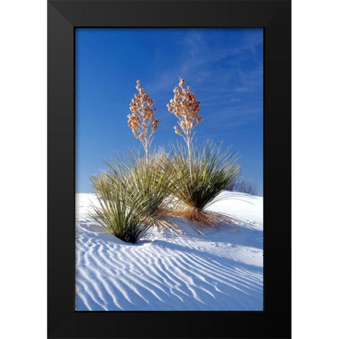 Yuccas and White Sand I Black Modern Wood Framed Art Print by Taylor, Douglas
