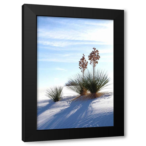 Yuccas and White Sand II Black Modern Wood Framed Art Print with Double Matting by Taylor, Douglas