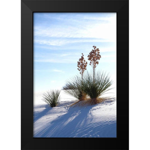 Yuccas and White Sand II Black Modern Wood Framed Art Print by Taylor, Douglas