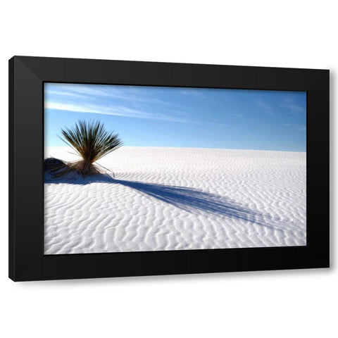 Sand Shadows I Black Modern Wood Framed Art Print by Taylor, Douglas