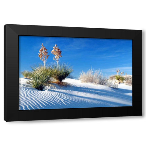 Sand Shadows II Black Modern Wood Framed Art Print by Taylor, Douglas