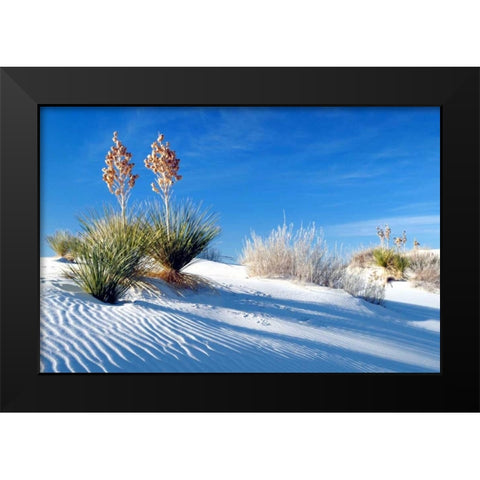 Sand Shadows II Black Modern Wood Framed Art Print by Taylor, Douglas