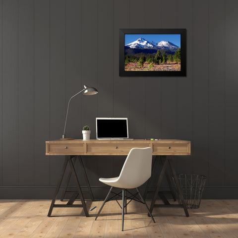 Morning in Shasta Black Modern Wood Framed Art Print by Taylor, Douglas