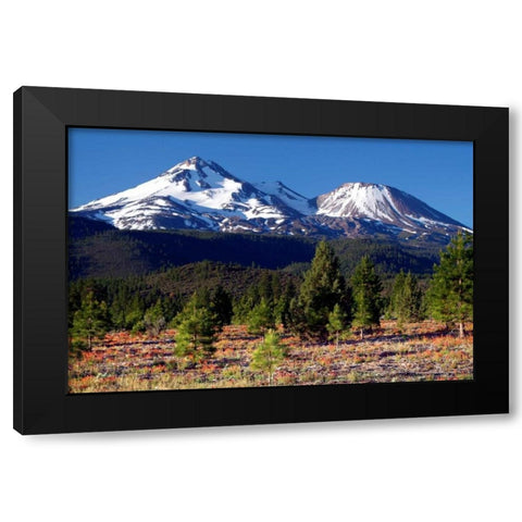 Morning in Shasta Black Modern Wood Framed Art Print by Taylor, Douglas