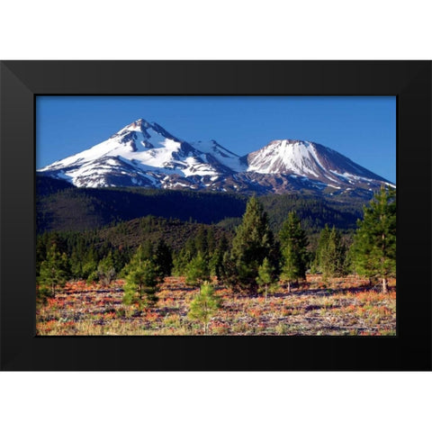 Morning in Shasta Black Modern Wood Framed Art Print by Taylor, Douglas