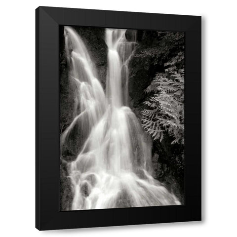 Falling Water I BW Black Modern Wood Framed Art Print by Taylor, Douglas