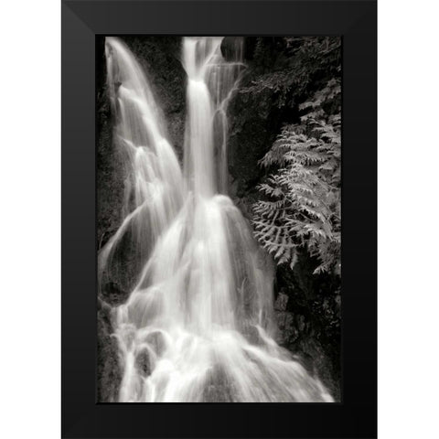 Falling Water I BW Black Modern Wood Framed Art Print by Taylor, Douglas